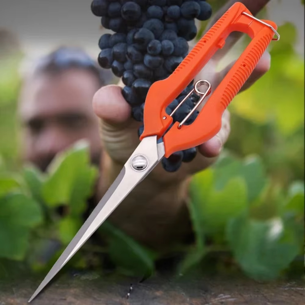 Grape Scissors Pruning Shears  - Furniture Joining Hardware ulasan dan harga