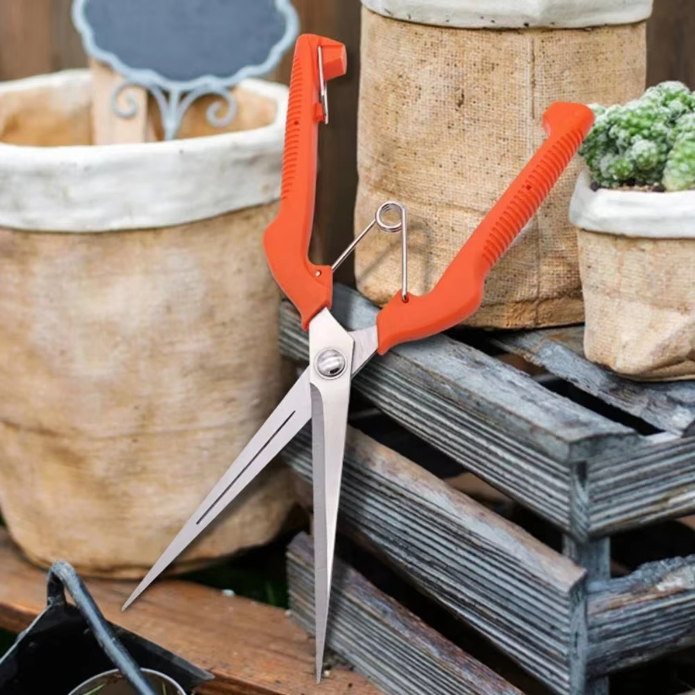 Grape Scissors Pruning Shears  - Furniture Joining Hardware ulasan dan harga